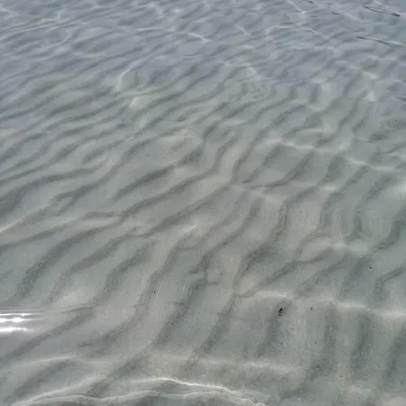 Moby Dick House * Вилласимиус