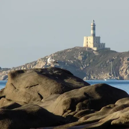 Moby Dick House דירה