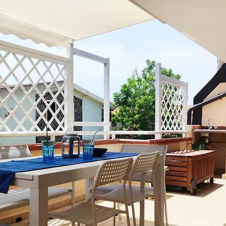 Moby Dick House 维拉西米乌斯