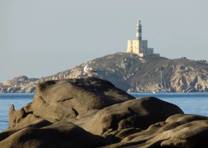 Moby Dick House Apartment